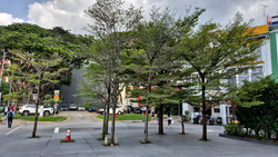 Outram Park MRT (D3), Shop House #515227081
